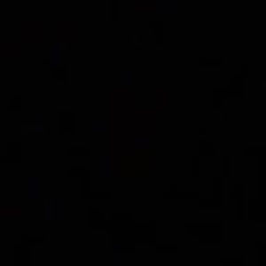 Meet your Posher, Maey